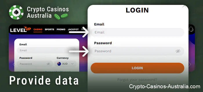 Enter the data when logging in to the Level Up Casino