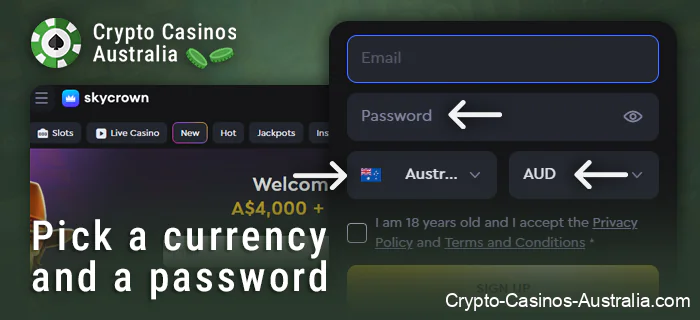 Enter password and currency at SkyCrown Crypto Casino